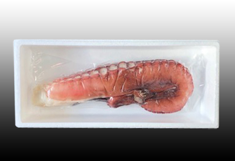 ＜12月21日決済分まで年内配送＞【北海道根室産】たこ足800g前後～1.4kg前後×1本 A-36051