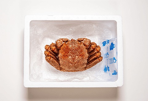 【北海道根室産】茹で毛がに約450g×1尾 A-45005