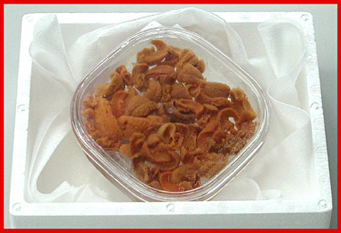 エゾバフンウニ(赤色)塩水パック100g×1P [2026年1月下旬以降発送] B-56016