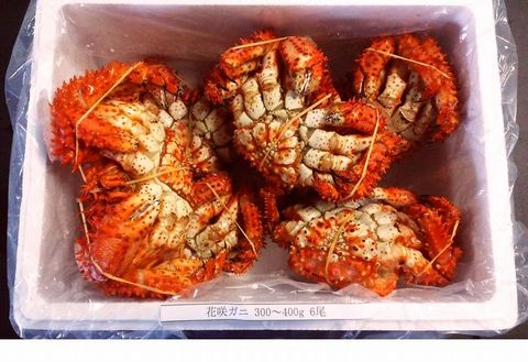 【北海道根室産】花咲ガニ300～400g×6尾 A-57004