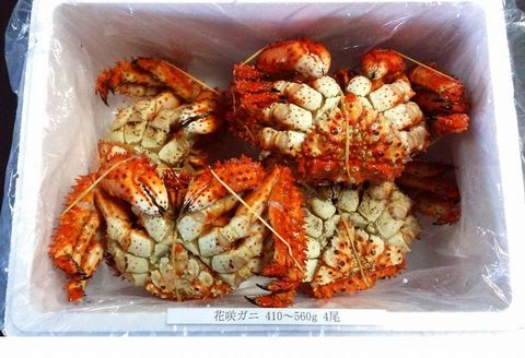【北海道根室産】花咲ガニ410～560g×4尾 A-57005