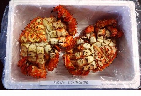 【北海道根室産】花咲ガニ610～700g×2尾 A-57007