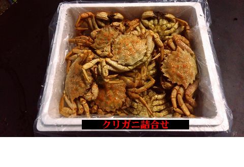 【12/31決済分まで1月中配送】 【北海道根室産】クリガニ計2kg詰め合わせ(チルド便) A-57018