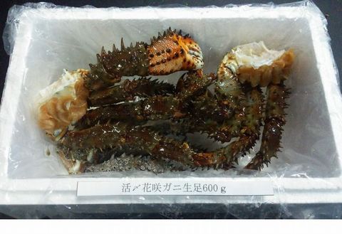 【北海道根室産】活〆花咲ガニ生足600g A-57020