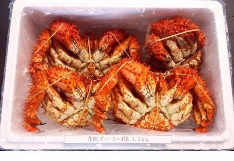 ＜12月21日決済分まで年内配送＞【北海道根室産】花咲ガニ3～4尾(計1.3kg前後) A-57021