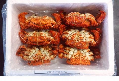 ＜12月21日決済分まで年内配送＞【北海道根室産】花咲ガニ5～7尾(計1.7kg前後) A-57027
