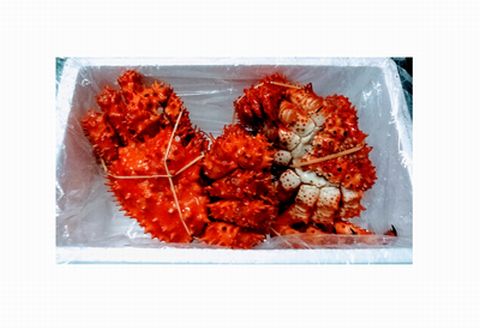 ＜12月21日決済分まで年内配送＞【北海道根室産】花咲ガニ450～600g×2尾 A-57038
