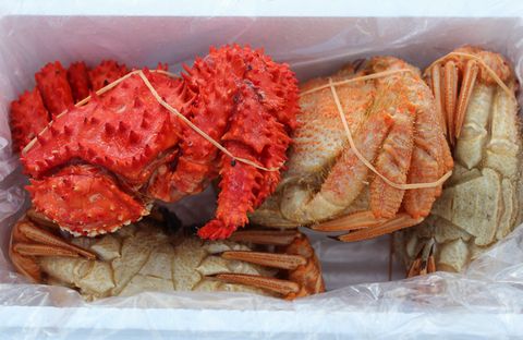 ＜12月21日決済分まで年内配送＞【北海道根室産】花咲ガニとクリガニの食べ比べ A-57041