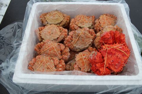 【北海道根室産】クリガニ15～21尾(計3kg前後)、花咲ガニ1尾 A-57043