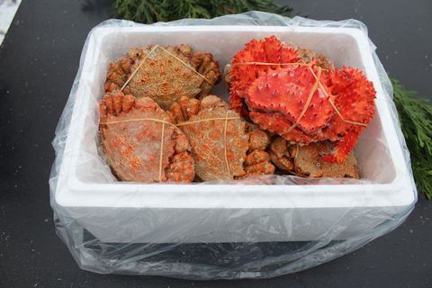 ＜12月21日決済分まで年内配送＞【北海道根室産】クリガニ8～9尾(計2kg前後)、花咲ガニ1尾 A-57045