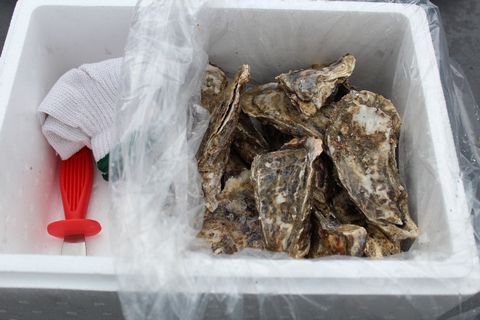 殻付き牡蠣の酒蒸し90g以上×17個入 A-57050