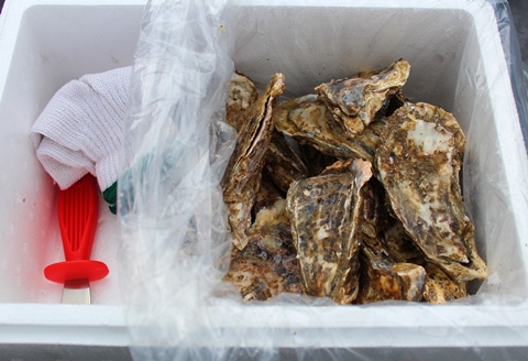 ＜12月21日決済分まで年内配送＞【北海道根室産】殻付カキ90～120g×12個 A-57055