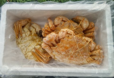 ＜12月21日決済分まで年内配送＞【北海道根室産】クリガニ3尾(計900g前後) A-57057