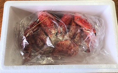 ＜12月21日決済分まで年内配送＞【北海道根室産】花咲ガニ400g以上×1尾 A-59004