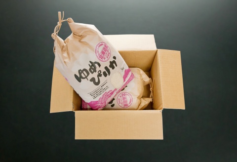 ＜12月21日決済分まで年内配送＞ゆめぴりか5kg×2袋 F-65013