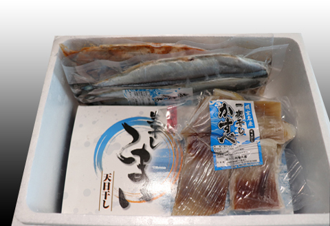 ＜12月21日決済分まで年内配送＞【北海道根室産】焼き魚詰め合わせセット A-70002