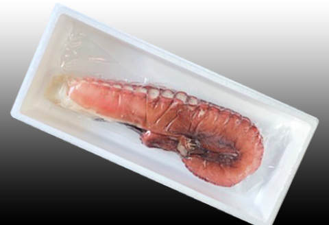 ＜12月21日決済分まで年内配送＞【北海道根室産】たこ足800g前後～1.4kg前後×1本 A-70051