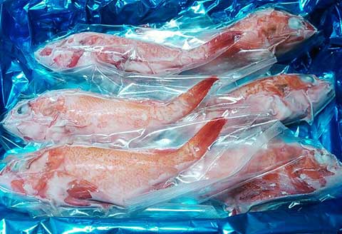 ＜12月10日決済分まで年内配送＞【北海道根室産】キンキ(下ごしらえ済)×6尾 A-72009