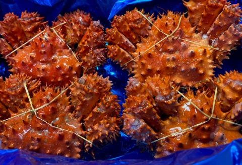 【北海道根室産】ボイル花咲かに400～490g×4尾 A-72013