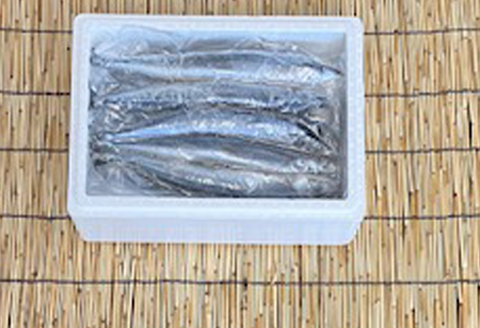 ＜12月21日決済分まで年内配送＞【北海道根室産】冷凍さんま5尾×4P(計20尾) A-76001