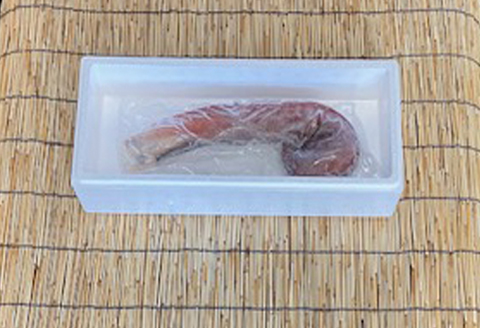 ＜12月21日決済分まで年内配送＞【北海道根室産】たこ足800g前後～1.4kg前後×1本 A-76028