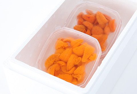 エゾバフンウニ塩水パック50～60g×2P[2026年1月中旬以降発送] A-81022