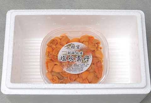 むきたて塩水ウニ(赤系含む)100～110g[2026年1月中旬以降発送] A-81017
