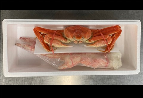 ＜12月21日決済分まで年内配送＞たらばがに脚とずわいがに姿 D-01056