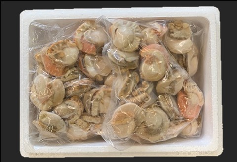 ＼漁業者応援品／【北海道根室産】ボイルほたて1.6kg B-01047