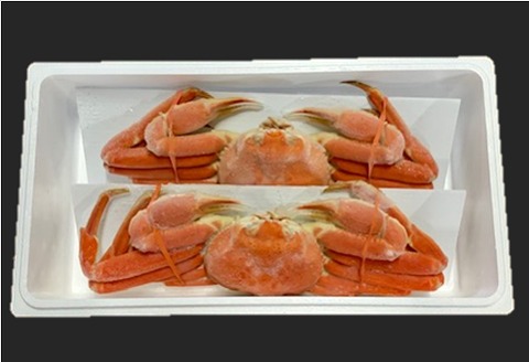 ＜12月21日決済分まで年内配送＞ボイルずわいがに姿600g×2尾 B-01056