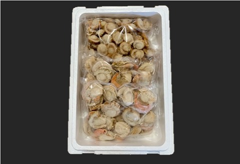 ＜12月21日決済分まで年内配送＞＼漁業者応援品／【北海道根室産】ボイルホタテ800g×2P、ボイルベビーホタテ1kg×1P B-01060