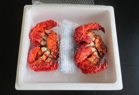 <年内配送可>【北海道根室産】花咲かに(メス)700～800g×2尾 B-19001