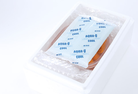 エゾバフンウニ塩水パック100～110g×2P[2026年1月中旬以降発送] C-24003