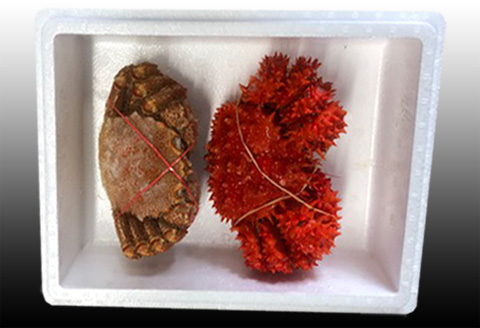 ＜12月21日決済分まで年内配送＞毛かに400g前後～550g前後×1尾・花咲かに300g前後～450g前後×1尾 B-30042