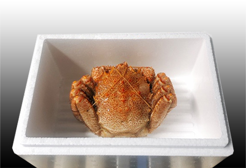 ＜12月21日決済分まで年内配送＞毛かに400g前後～550g前後×1尾 B-36021