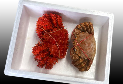 【12/31決済分まで1月中配送】 毛かに400g前後～550g前後×1尾・花咲かに300g前後～450g前後×1尾 B-36042