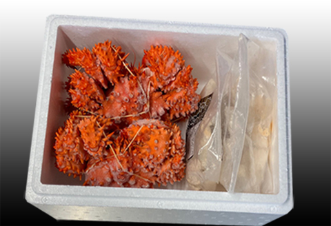 ＜12月21日決済分まで年内配送＞【北海道根室産】花咲かに400g～550g前後×2尾、たこ唐揚げ250g×2P B-36047