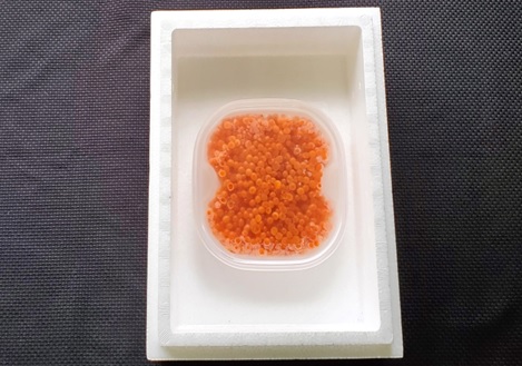 秋鮭いくら醤油漬100g×1P B-40027