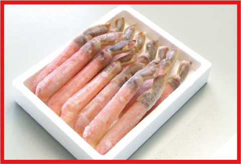 ＜12月21日決済分まで年内配送＞刺身用本ずわいかに剥き身500g(10～15本) A-56021