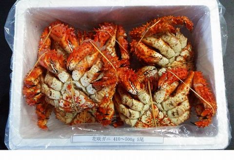【北海道根室産】花咲ガニ410～500g×5尾 B-57002