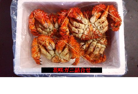 【北海道根室産】花咲ガニ510～600g×4尾 B-57003