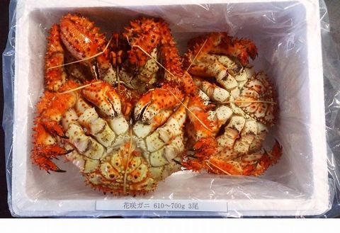 ＜12月21日決済分まで年内配送＞【北海道根室産】花咲ガニ610～700g×3尾 B-57004