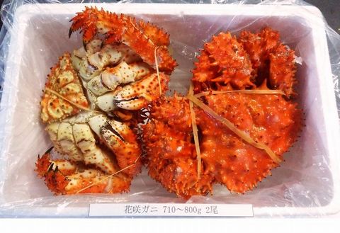 【北海道根室産】花咲ガニ710～800g×2尾 B-57005