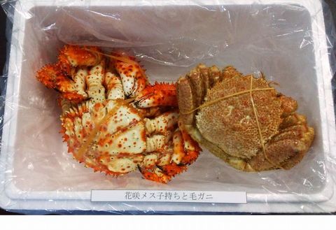 <年内配送可>【北海道根室産】花咲ガニメス子持ちと毛ガニセット B-57009