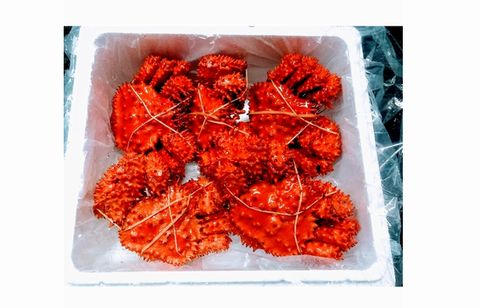 ＜12月21日決済分まで年内配送＞【北海道根室産】花咲ガニ300～400g×5尾 B-57016