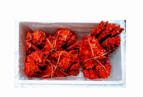 ＜12月21日決済分まで年内配送＞【北海道根室産】花咲ガニ410～500g×3尾 B-57017