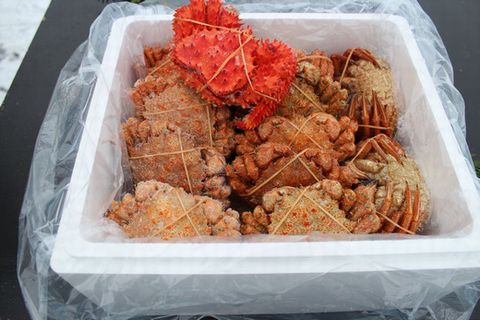 ＜12月21日決済分まで年内配送＞【北海道根室産】クリガニ18～22尾(計4kg前後)、花咲ガニ1尾 B-57023