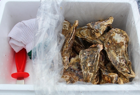 ＜12月21日決済分まで年内配送＞【北海道根室産】殻付カキ90～120g×18個 B-57026