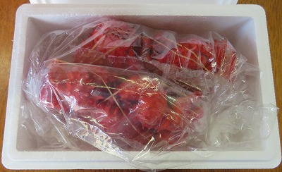 ＜12月21日決済分まで年内配送＞【北海道根室産】花咲ガニ2尾(計800g以上) B-59010