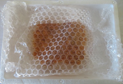 ＜12月21日決済分まで年内配送＞エゾバフンウニ塩水パック80～90g×1P B-59018